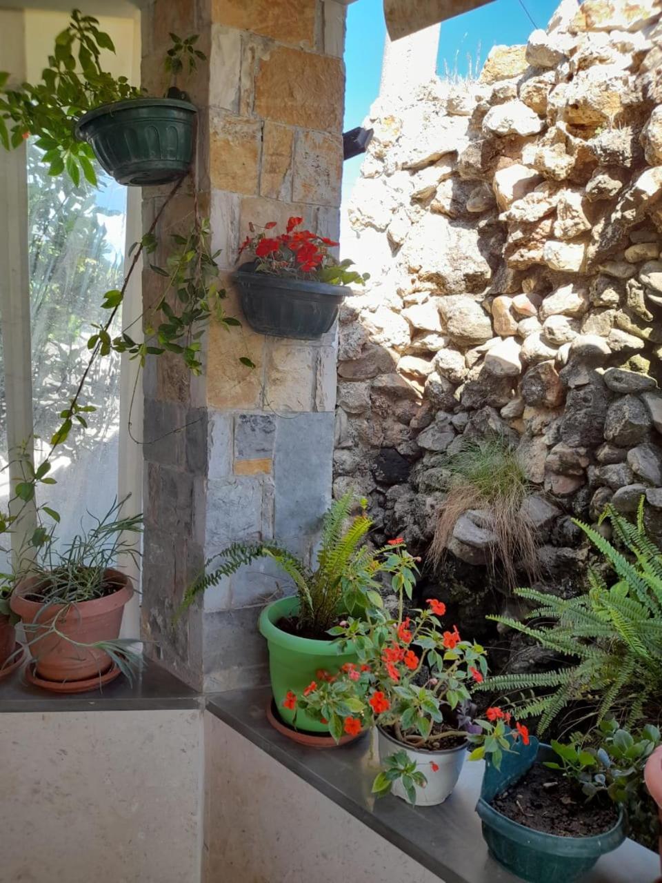 Vlora Stay Appart hôtel